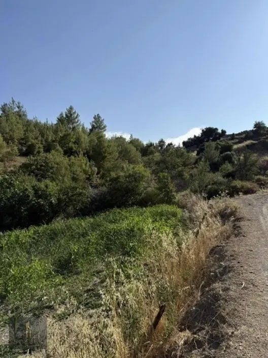 Muğla Menteşe Meke Mahallesinde Satılık Tarla - 10