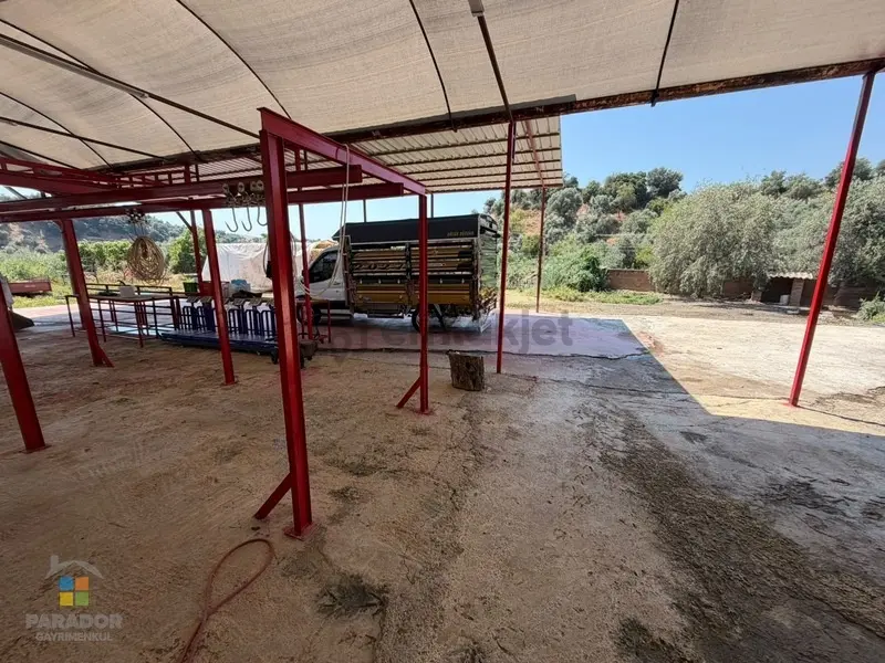 Aydın Nazilli İsabeyli Mahallesinde Satılık Ruhsatlı Çiftlik - 25