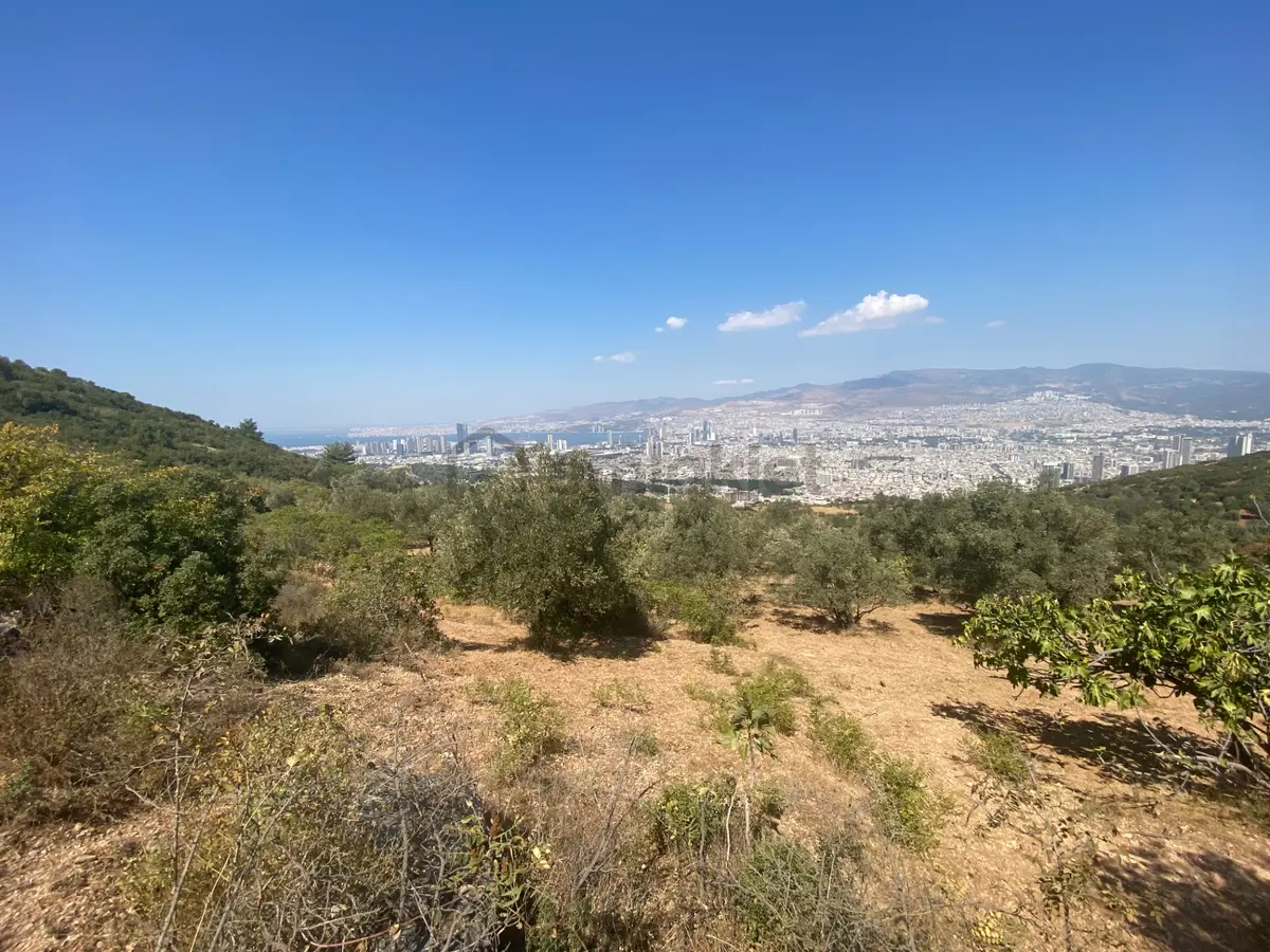İzmir Bornovada Satılık Arazi - 8