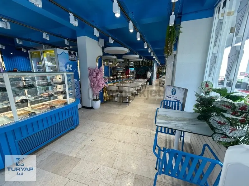 Turyap Âlâ'dan Satılık Cadde Cepheli Dükkan - 11