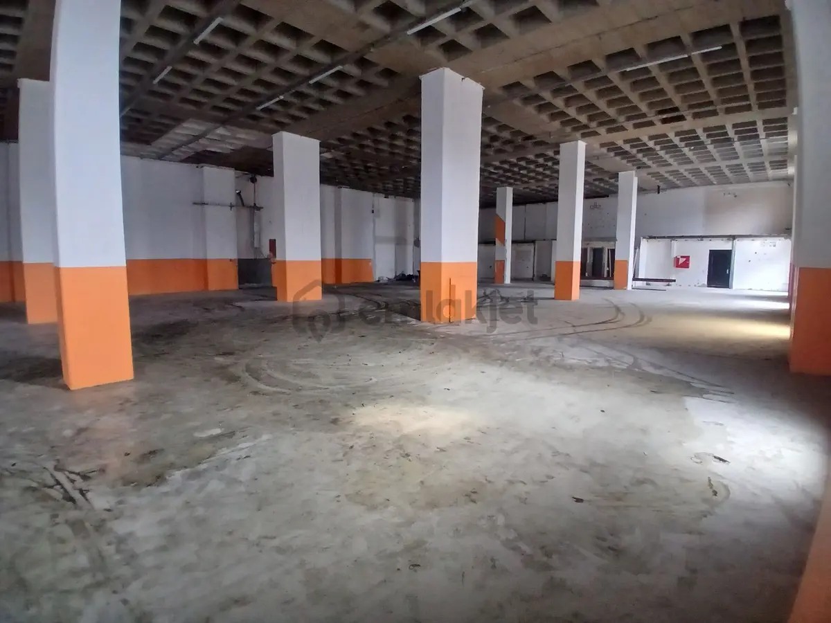 | Kiralık | Sinpaş | Çelik Törün | Depo | 925m² | - 15