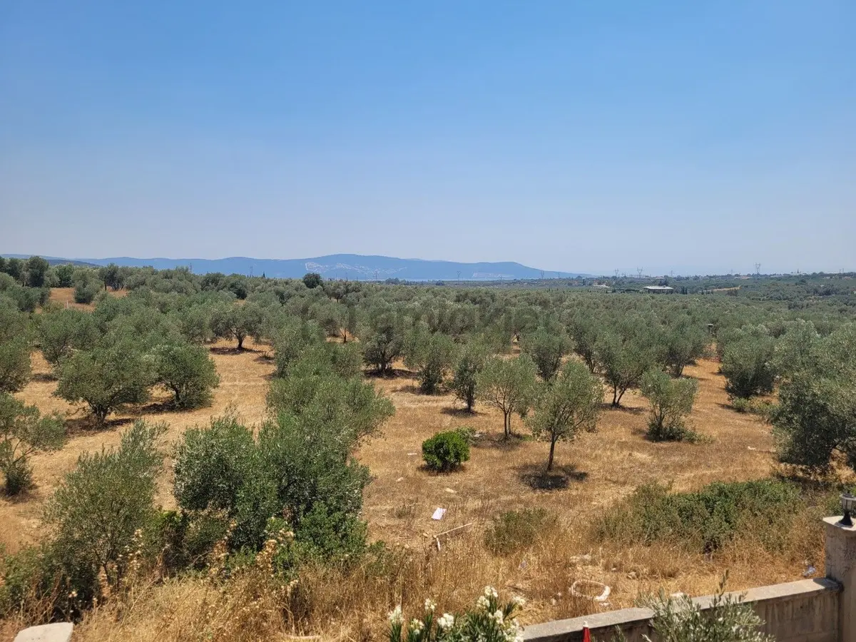 Didim Fevzipaşada Havuzlu Sitede 2+1 Daire - 23