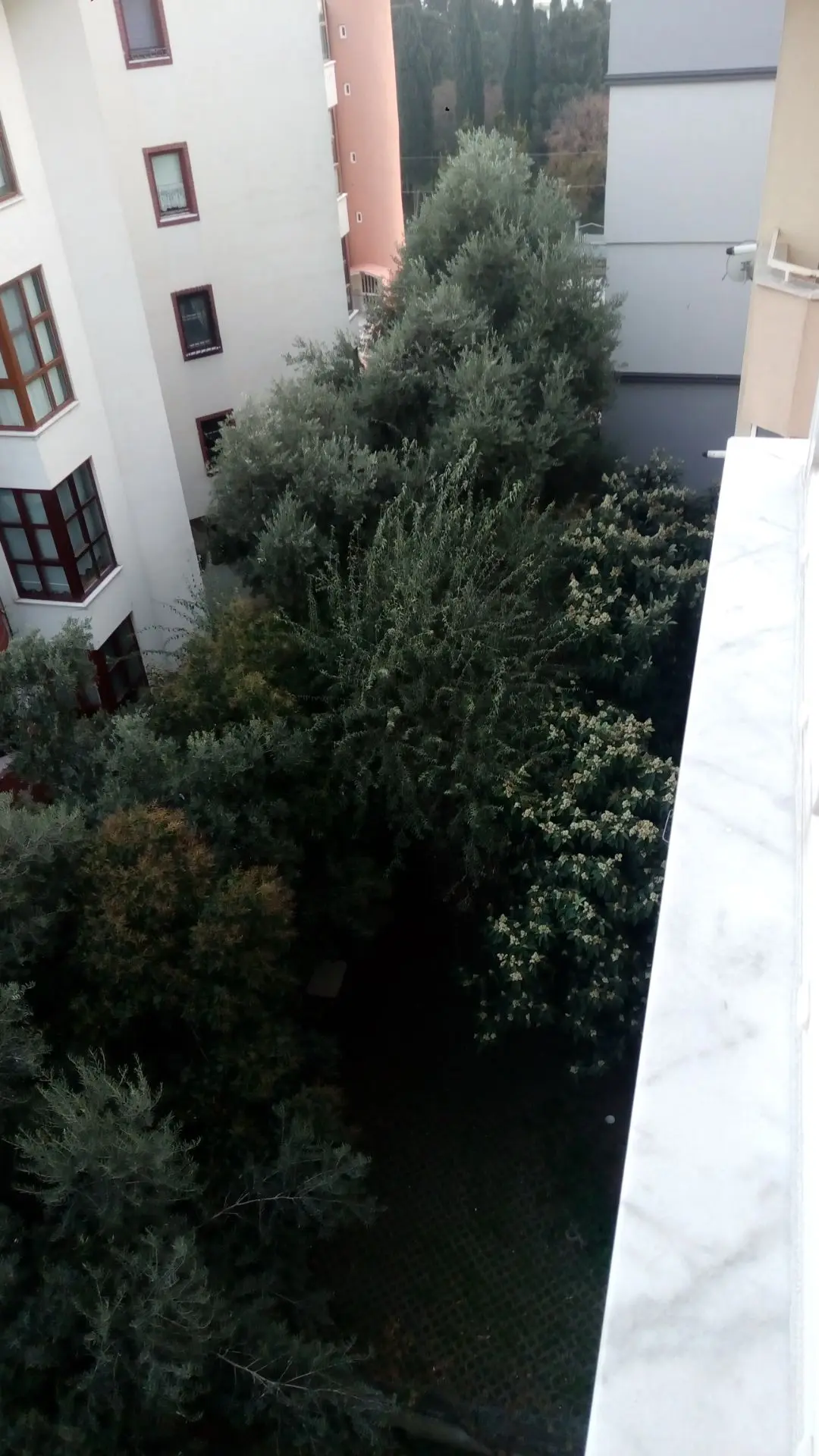 Sahibinden Kiralık Daire. Pendik İstanbul. - 13