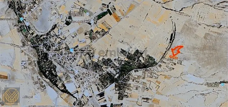 Subaşı'da 6200 M2 Fırsat Bağ - 2