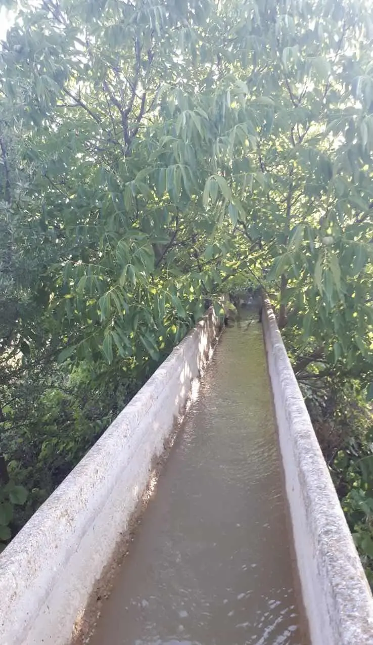 Denizli Çal Akkent Mahallesinde Satılık Tarla - 4