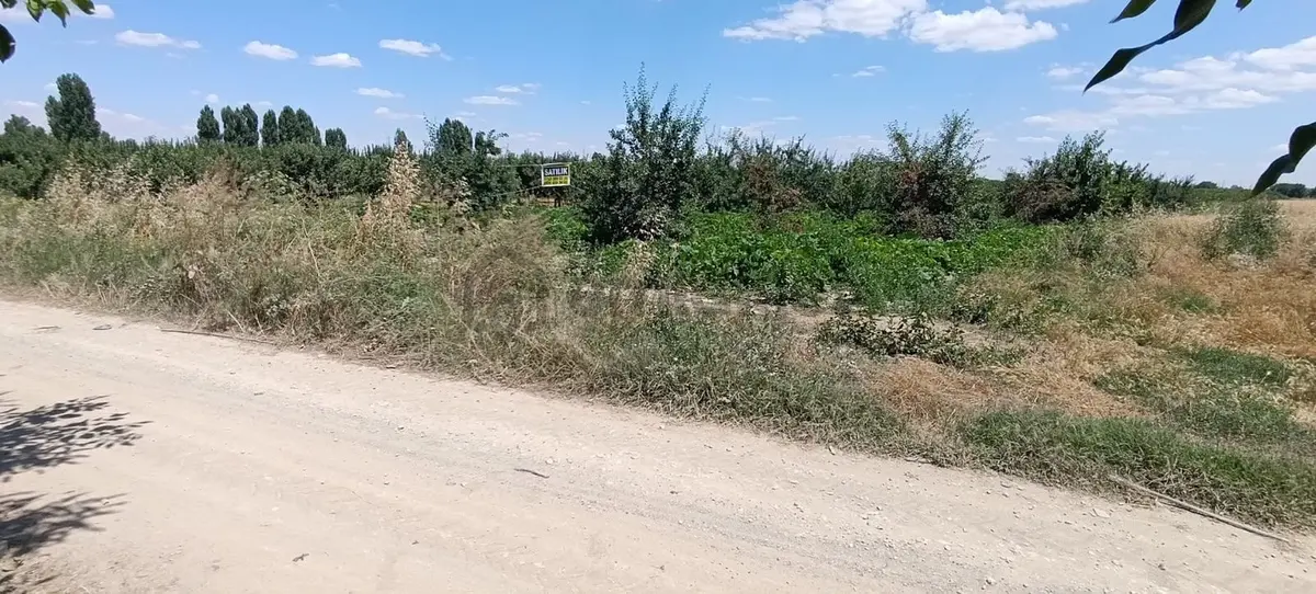 Sahibinden Satılık Vişne Bahçesi - 3