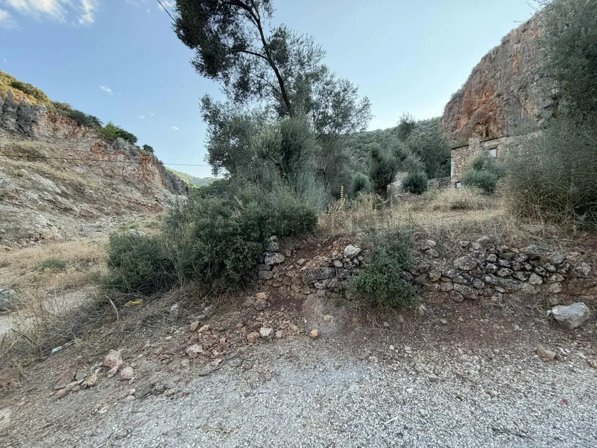Fethiye Patlangıçta Satılık Müstakil Tapulu Tarla - 4