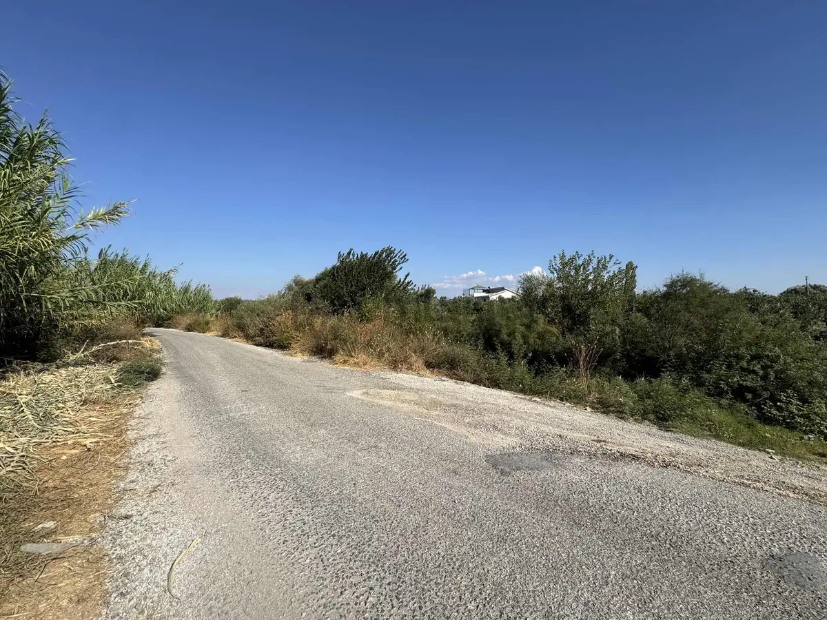 Seferihisar Hıdırlık Zeytin Ağaçlı Tarla - 7