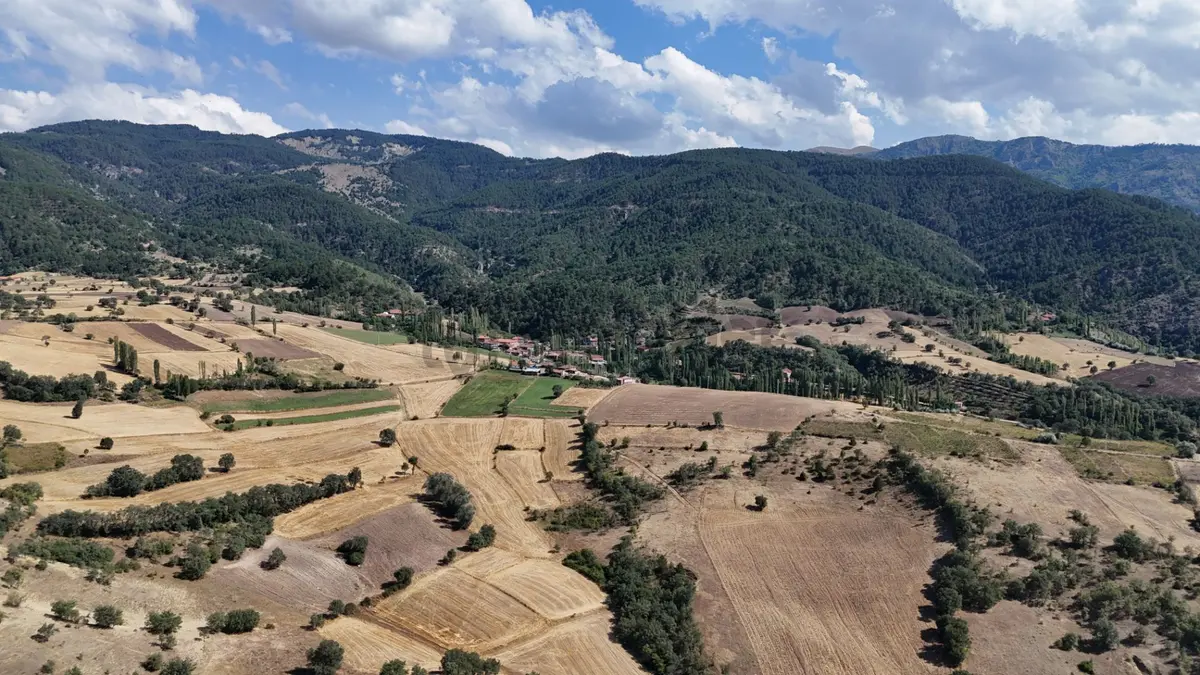 Amasya Hamamözü Dedeköy’de Satılık 4766 M² Tarla - 10