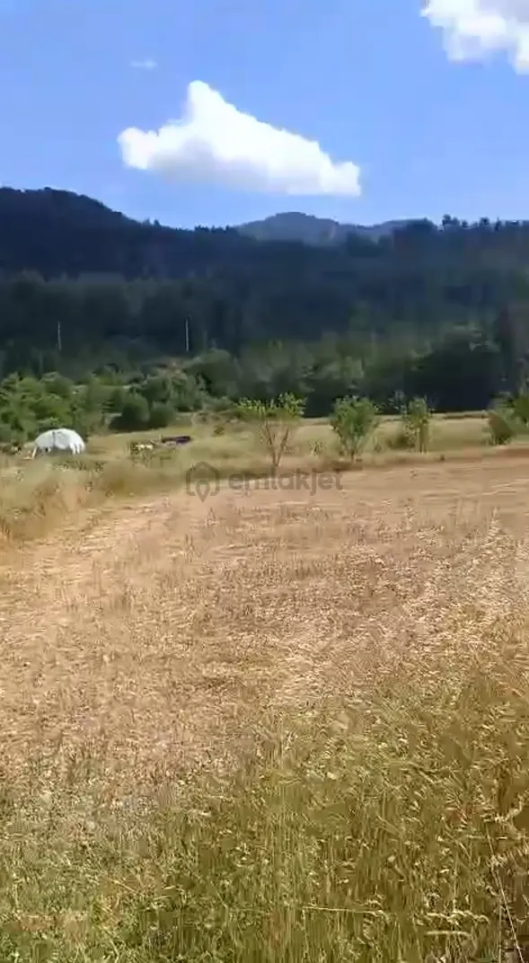 Muğla Menteşe Yemişenderede Satılık İmarlı Arsa - 8