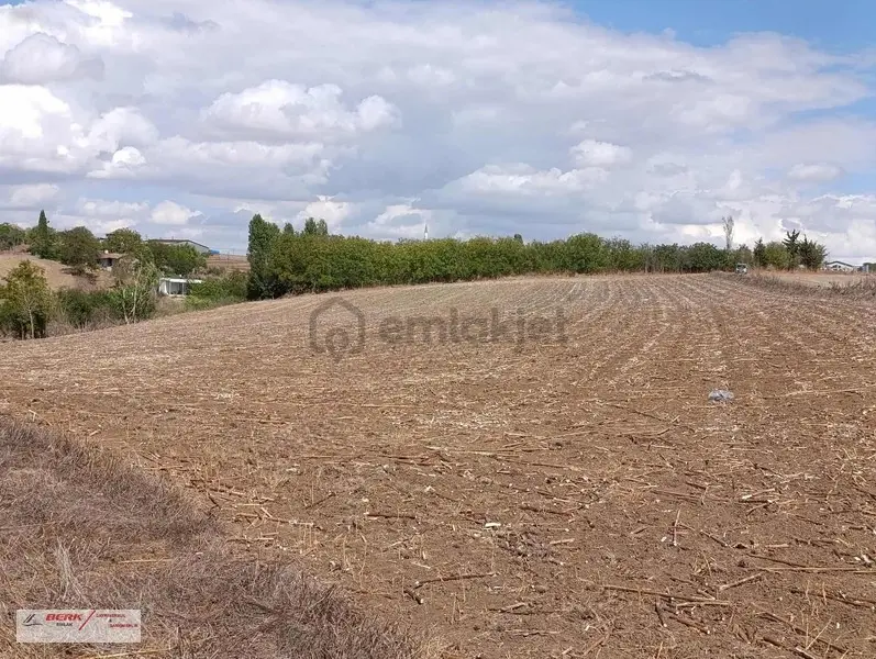 Tekirdağ Muratlı Müsellim Mh'de İmara Girmiş 11'850m2 Tarla - 5