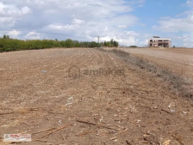 Tekirdağ Muratlı Müsellim Mh'de İmara Girmiş 11'850m2 Tarla - 4