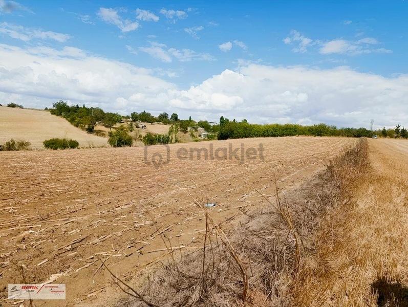 Tekirdağ Muratlı Müsellim Mh'de İmara Girmiş 11'850m2 Tarla - 12