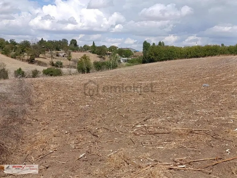Tekirdağ Muratlı Müsellim Mh'de İmara Girmiş 11'850m2 Tarla - 9
