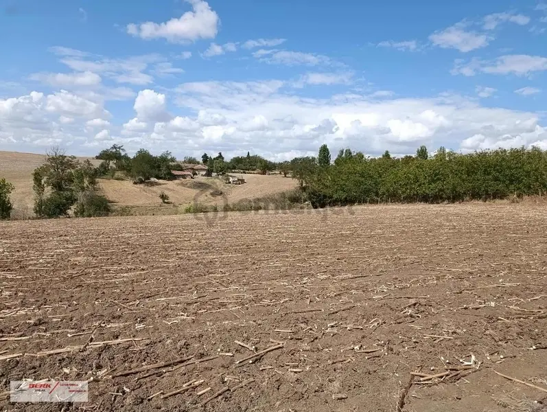 Tekirdağ Muratlı Müsellim Mh'de İmara Girmiş 11'850m2 Tarla - 14