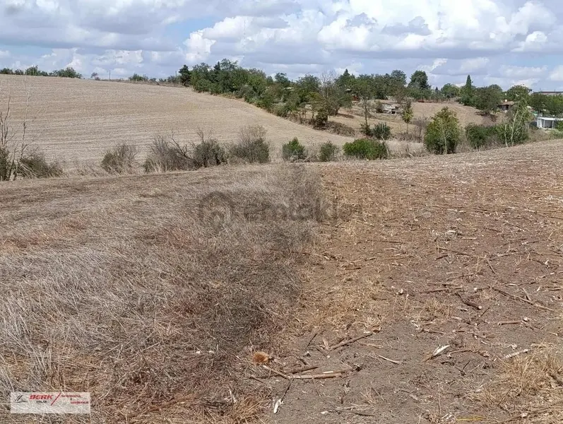 Tekirdağ Muratlı Müsellim Mh'de İmara Girmiş 11'850m2 Tarla - 7