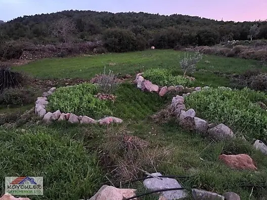 Bergamada 4125 M2 İçinde Doğa Manzaralı Ruhsatlı Satılık Çiftlik - 7