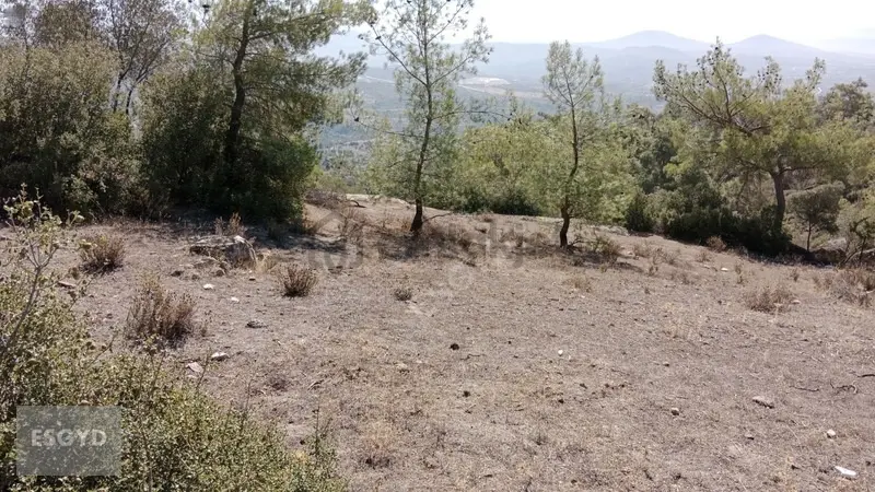 Muhteşem Doğa İçerisinde Huzurlu Bir Yaşam - 7