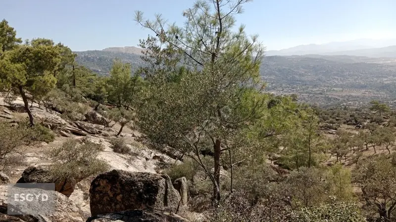 Muhteşem Doğa İçerisinde Huzurlu Bir Yaşam - 30