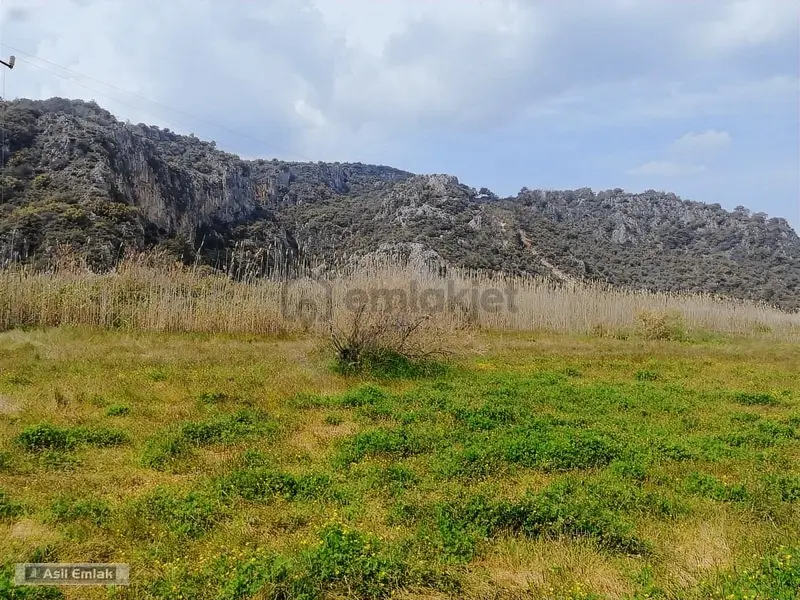 Asil Emlaktan Güzelyurt Akdoğan'da Satılık Tarla - 5000m² - 26