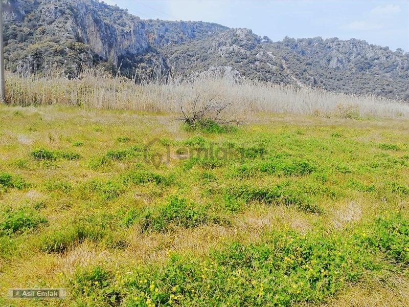 Asil Emlaktan Güzelyurt Akdoğan'da Satılık Tarla - 5000m² - 19
