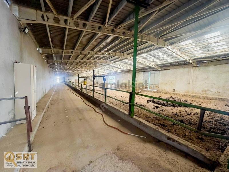 Sarayönü Ladik'te Ruhsatlı Et Entegre Tesisi Ve Çiftlik - 35