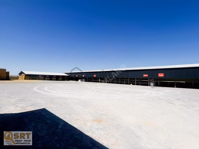 Sarayönü Ladik'te Ruhsatlı Et Entegre Tesisi Ve Çiftlik - 20