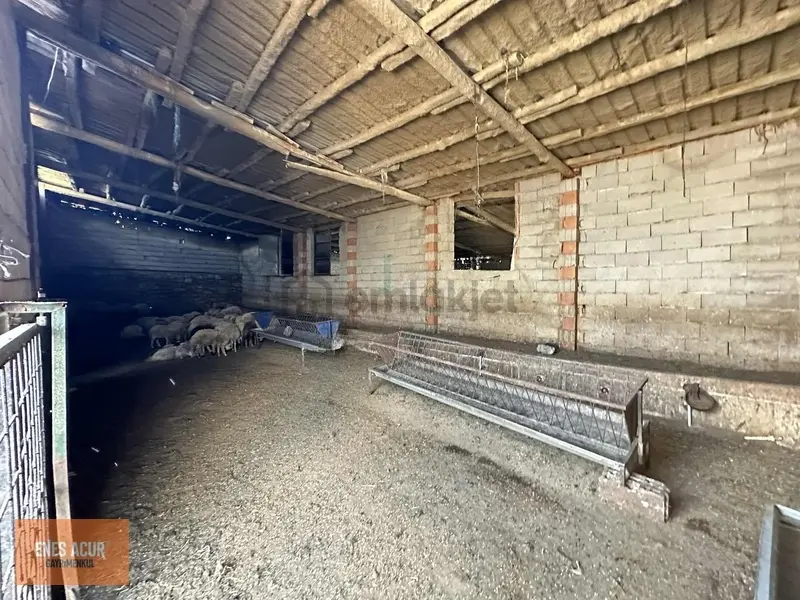 Enes Acur'dan Ilgın Mahmuthisar'da 31.572 M2 Çiftlik - 4