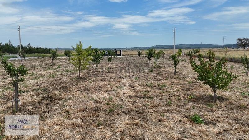 Mecidiyede İmar Sınırında Yola Cephe Satılık 1920 M2 Tarla - 27