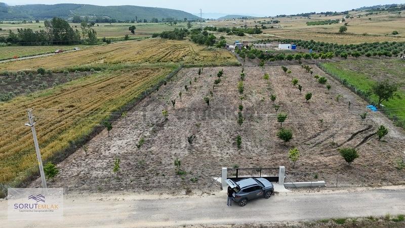 Mecidiyede İmar Sınırında Yola Cephe Satılık 1920 M2 Tarla - 10