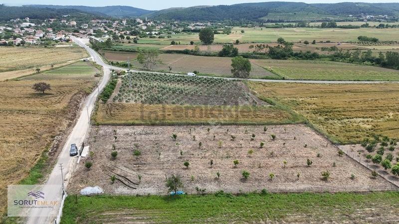 Mecidiyede İmar Sınırında Yola Cephe Satılık 1920 M2 Tarla - 4