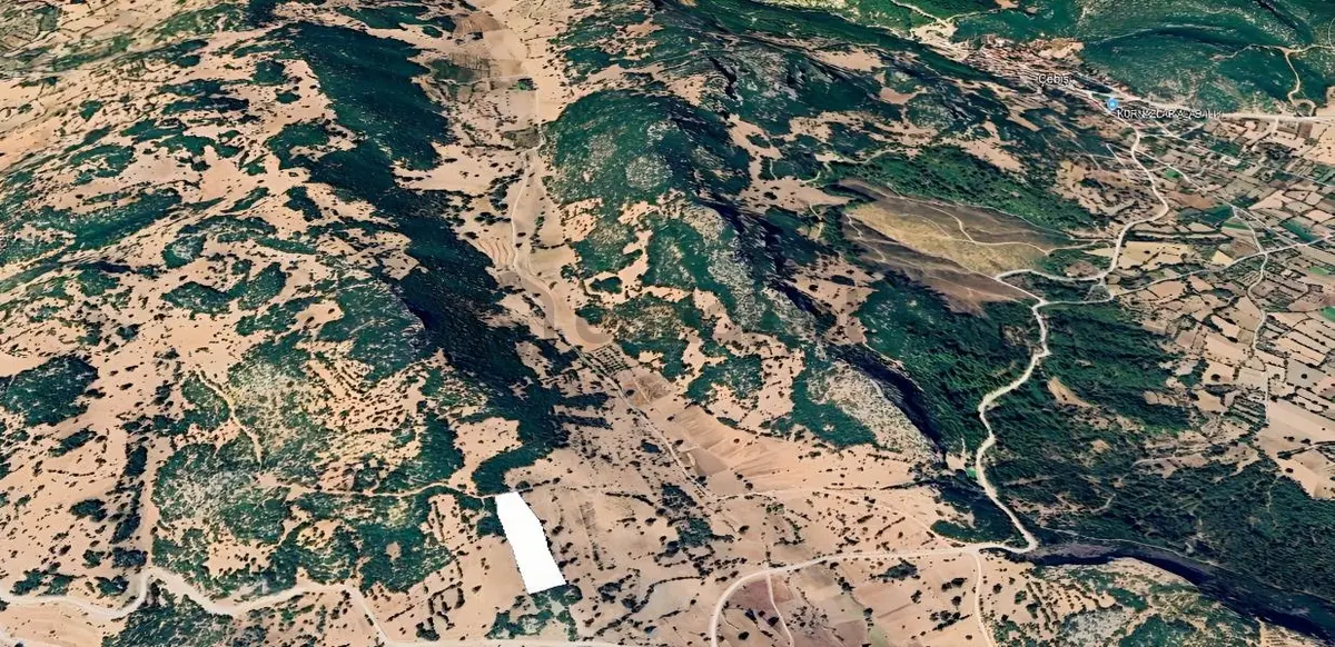 Çebiş'te Fırsat 11.185 M² Tarla - 4