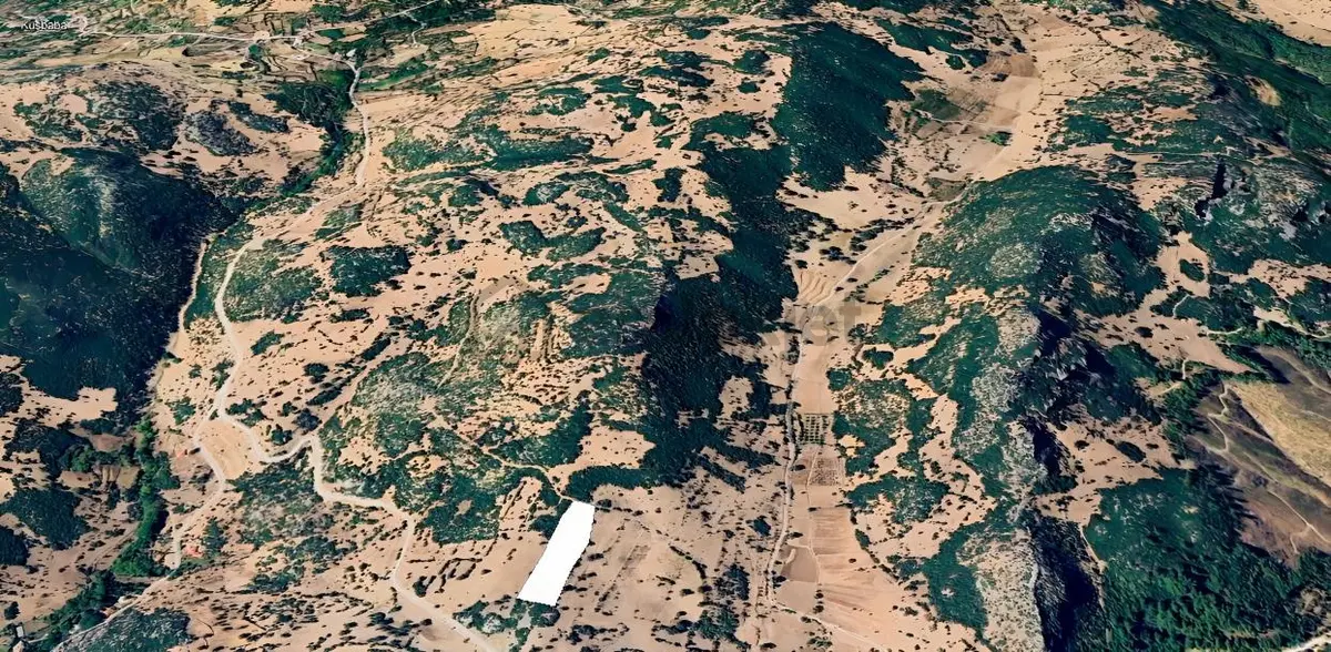Çebiş'te Fırsat 11.185 M² Tarla