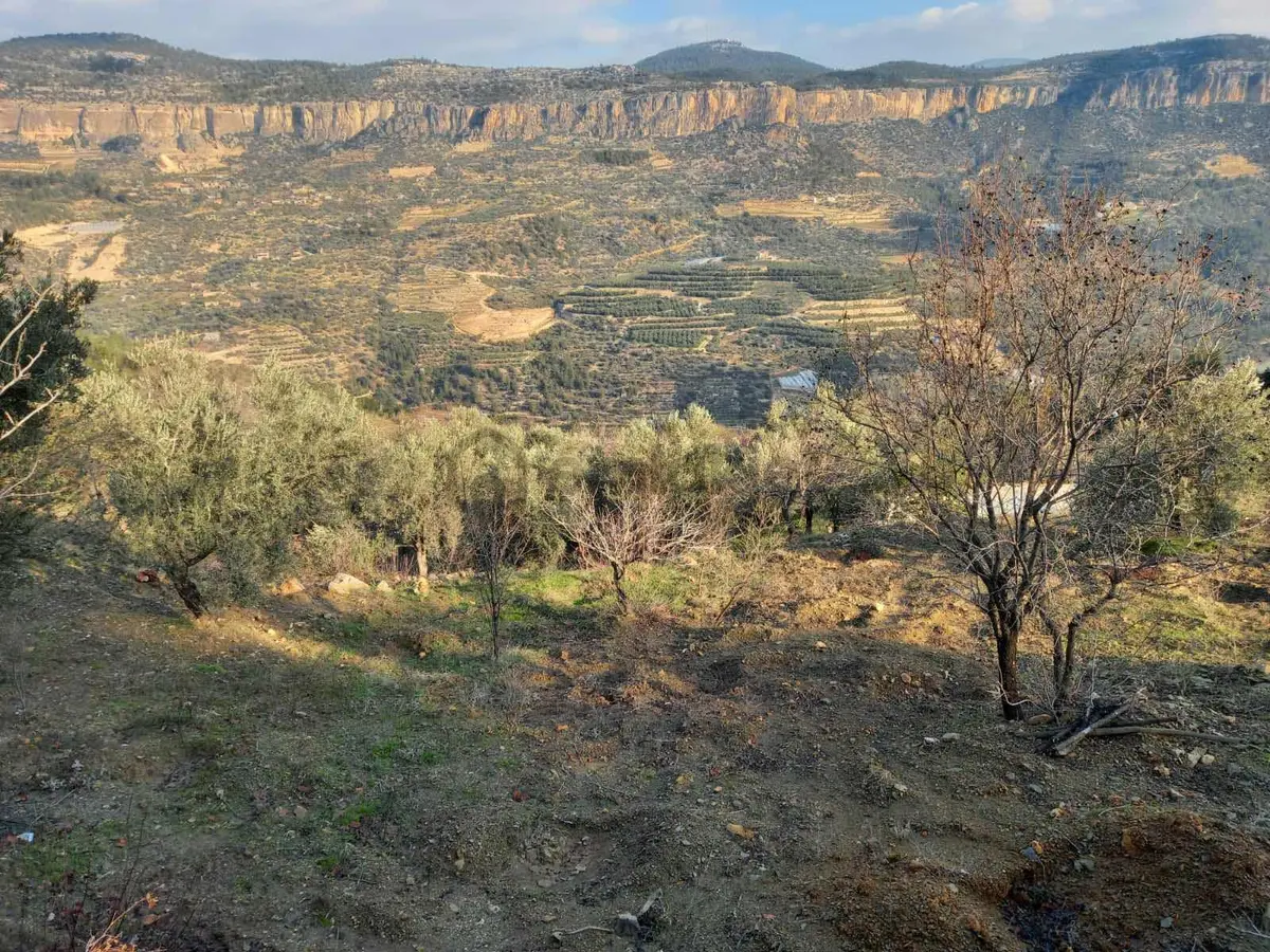 Silifke Cilbayır Mahallesinde Satılık Parsel - 11