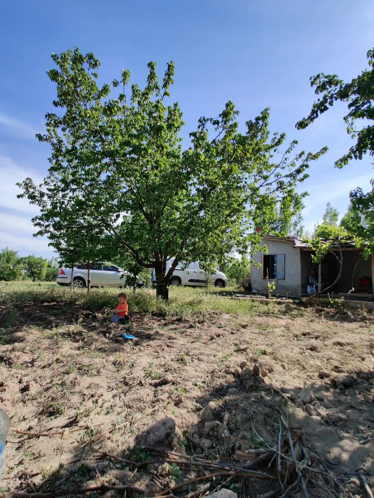 Hatunsarayda Satılık 2367m Bağ Bahçe - 26