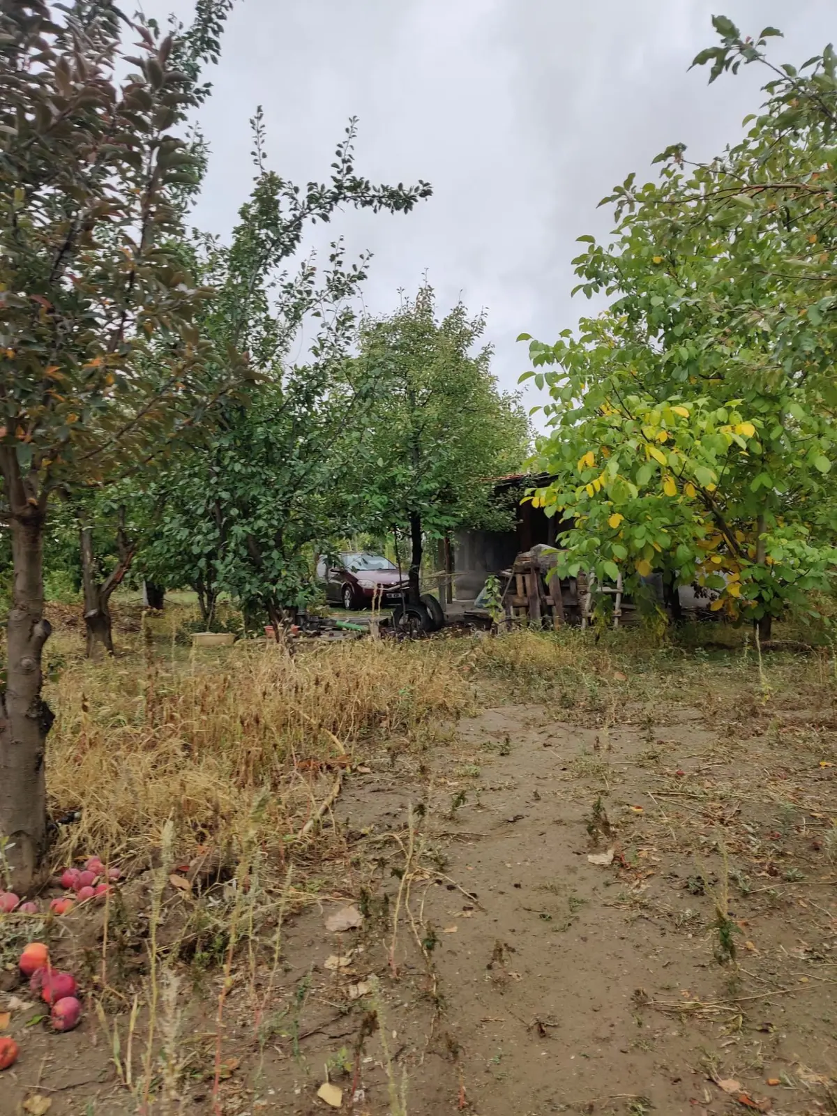 Hatunsarayda Satılık 2367m Bağ Bahçe - 3