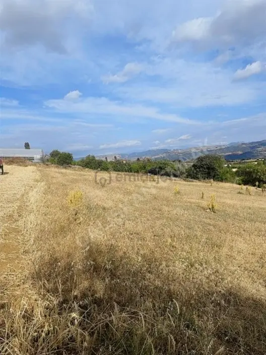 Çamdere Köyü Tek Tapu 2 Dönüm Satılık - 8