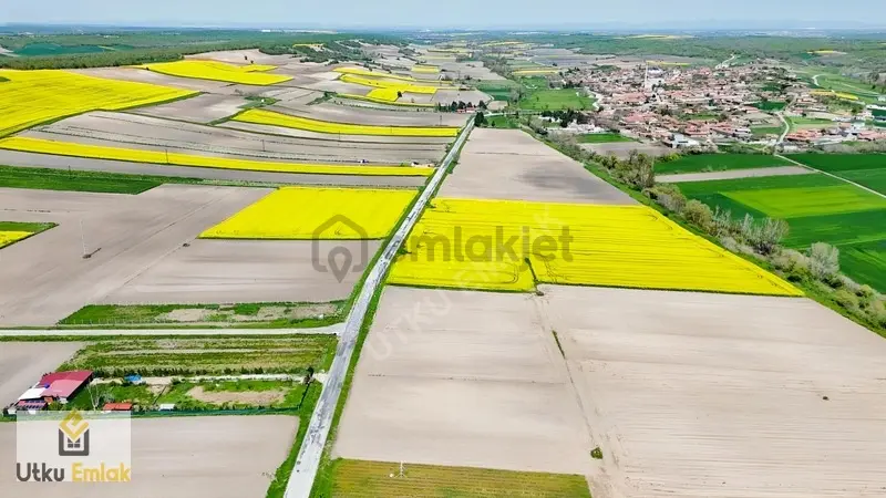 Babaeski Müsellim De 2991 M2 Asfalt Cephe Satılık Tarla - 17