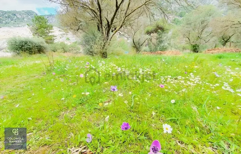 Muğla Gökova'da Asfalt Yola Cephe, 1742 M2 Satılık Tarla - 11