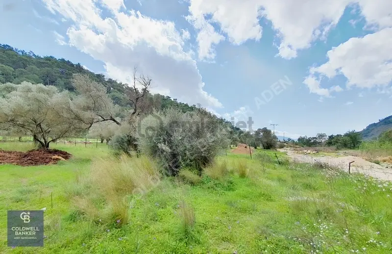 Muğla Gökova'da Asfalt Yola Cephe, 1742 M2 Satılık Tarla - 3
