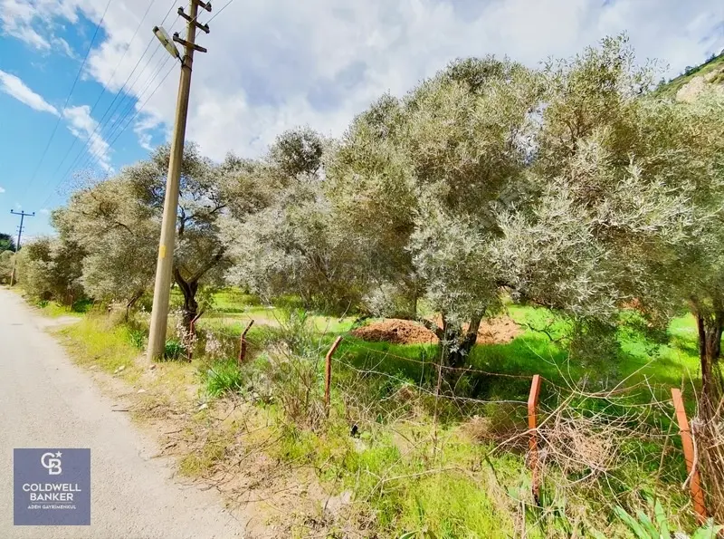 Muğla Gökova'da Asfalt Yola Cephe, 1742 M2 Satılık Tarla - 7