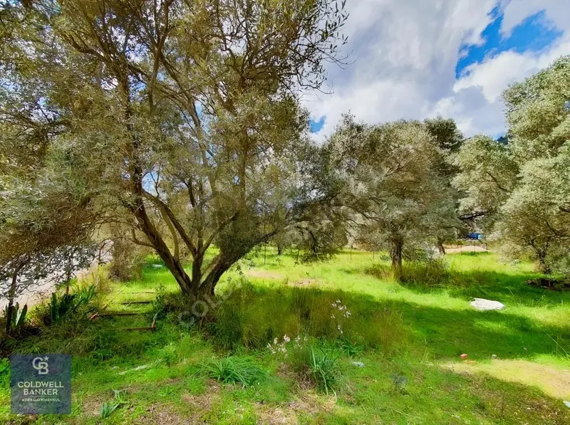 Muğla Gökova'da Asfalt Yola Cephe, 1742 M2 Satılık Tarla - 10
