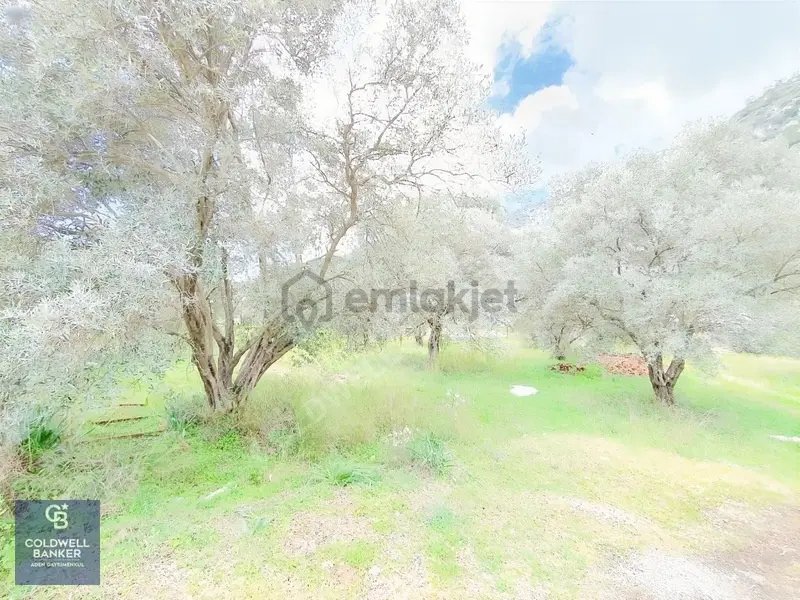Muğla Gökova'da Asfalt Yola Cephe, 1742 M2 Satılık Tarla - 8