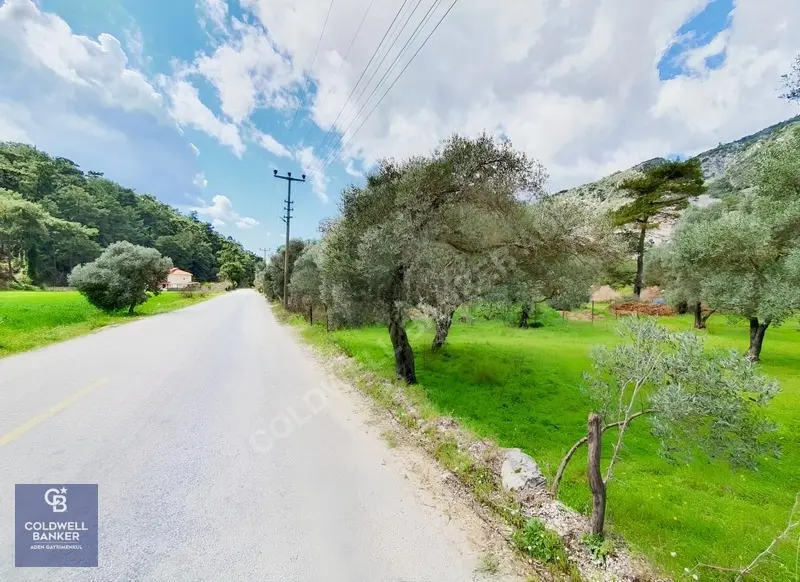 Muğla Gökova'da Asfalt Yola Cephe, 1742 M2 Satılık Tarla