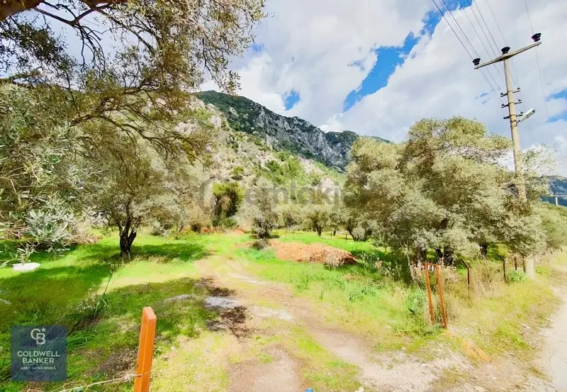 Muğla Gökova'da Asfalt Yola Cephe, 1742 M2 Satılık Tarla - 2