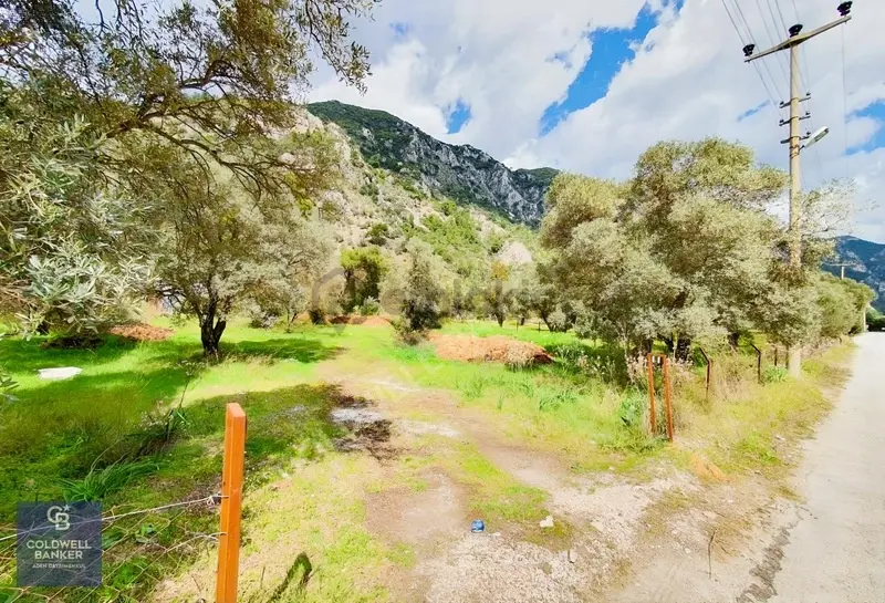 Muğla Gökova'da Asfalt Yola Cephe, 1742 M2 Satılık Tarla - 9