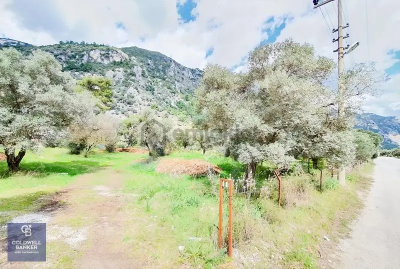 Muğla Gökova'da Asfalt Yola Cephe, 1742 M2 Satılık Tarla - 5