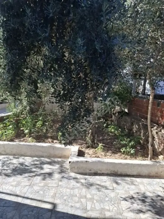 Foça Yeni Bağarasında 3+1 Bahçeli Ev Kiralıktır - 32