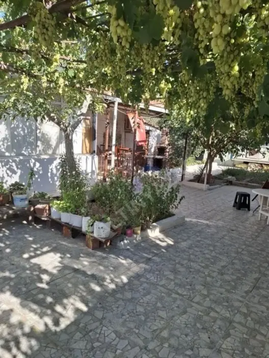 Foça Yeni Bağarasında 3+1 Bahçeli Ev Kiralıktır