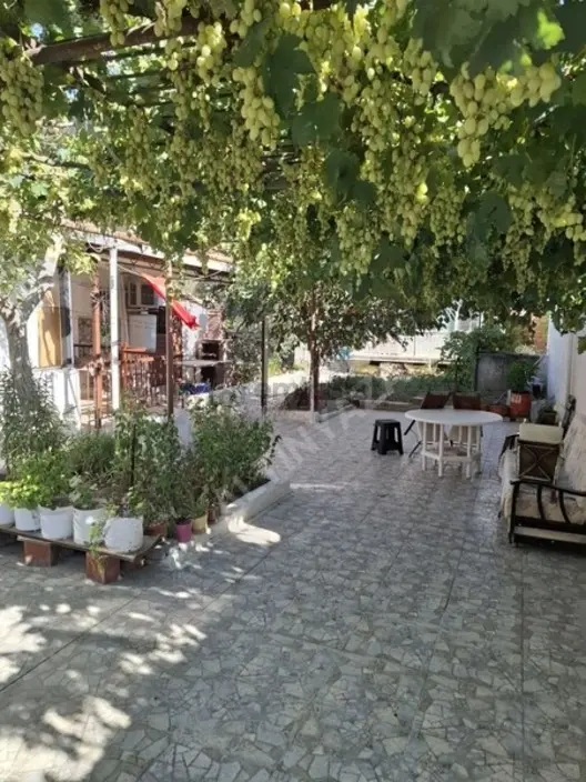 Foça Yeni Bağarasında 3+1 Bahçeli Ev Kiralıktır - 4